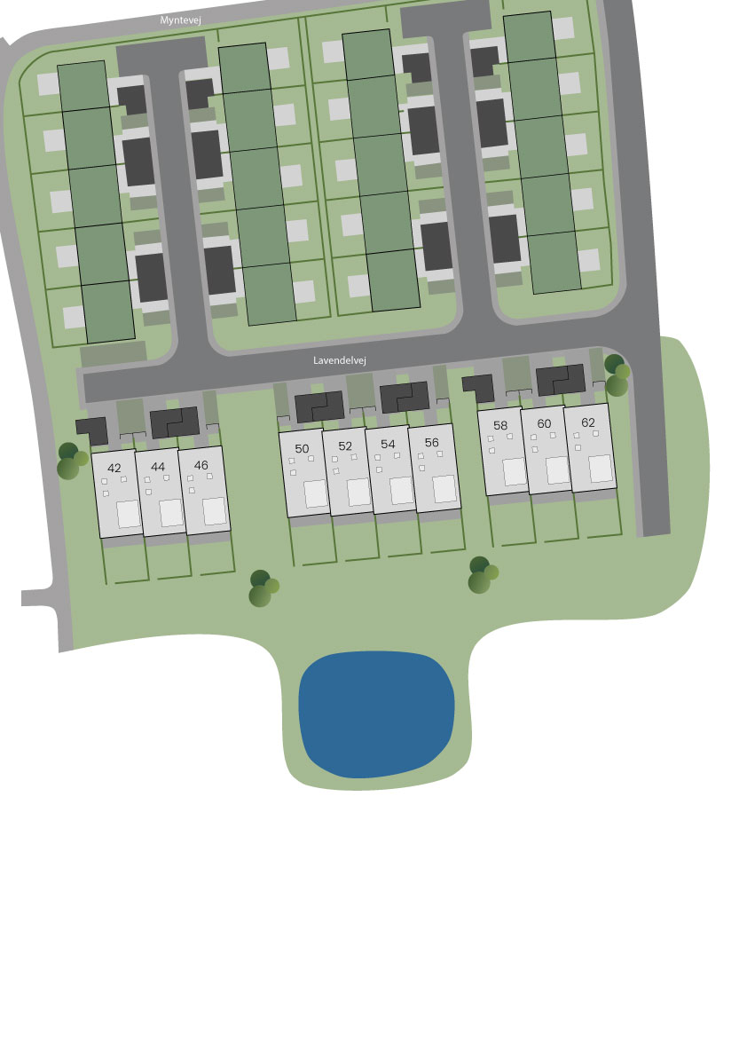 Lavendelvej—etape-2